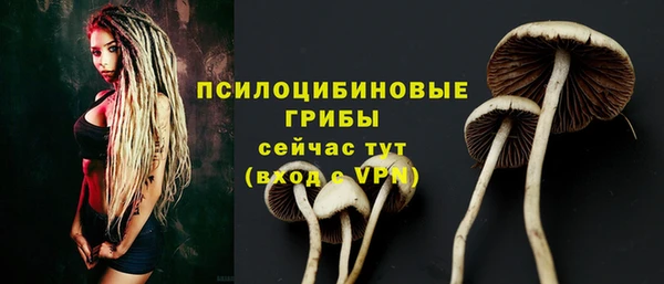 шишки Нязепетровск