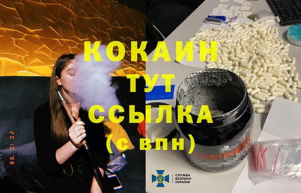 Альфа ПВП Няндома