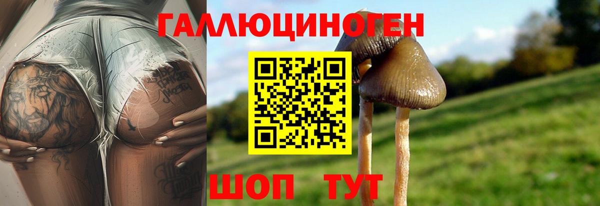 Краснокаменск  Галлюциногенные грибы Cubensis  Галлюциногенные грибы прущие грибы  Вход с VPN 